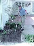 installing landscape fabric, step 1