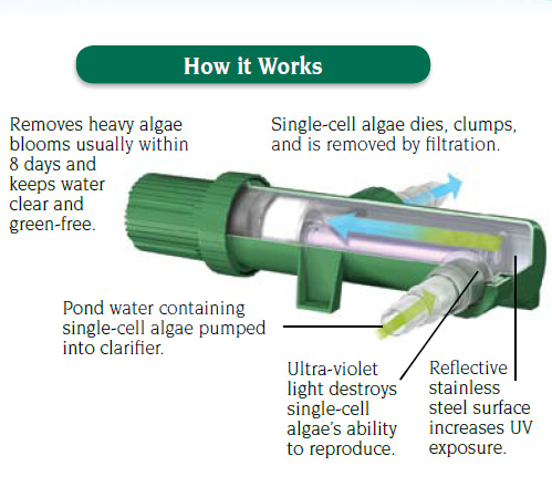 How the Tetra UV Clarifiers work