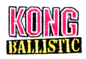 ASSORTED Ballistic Kong Toys that Float and Squeak - GregRobert