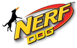 NERF DOG Plush Tug Football