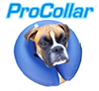 PROCOLLAR Elizabethan Collars / Pet E-collars for Dogs  - GregRobert