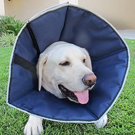 Procone Soft Recovery Collar Procone Soft Recovery Collar