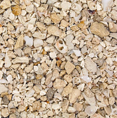 Florida Crushed Coral 15 Lbs Florida Crushed Coral 15 Lbs
