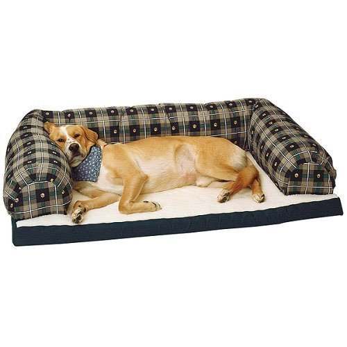 Beasley The Dog. Beasley Couch - Size (Small) Price: 40.16 - Quantity Discounts