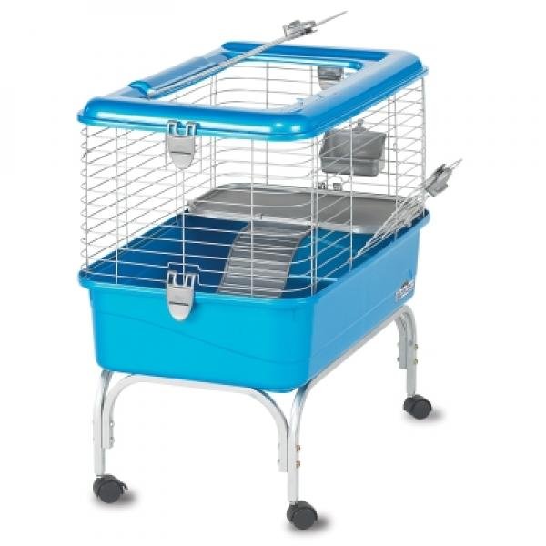 Habitat Defined Home For Guinea Pigs Habitat Defined Home For Guinea Pigs