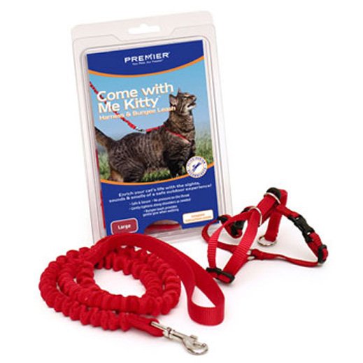 Come With Me Kitty Harness Bungee Leash / Size Small Red Come With Me Kitty Harness Bungee Leash / Size Small Red