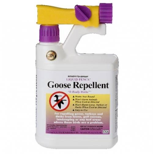  GregRobert Pet Supplies