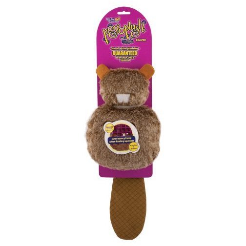 dog beaver toy