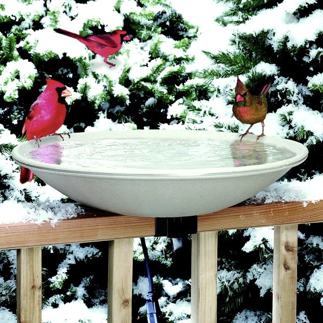 Heated Bird Bath Easy Tilt To Clean Heated Bird Bath Easy Tilt To Clean