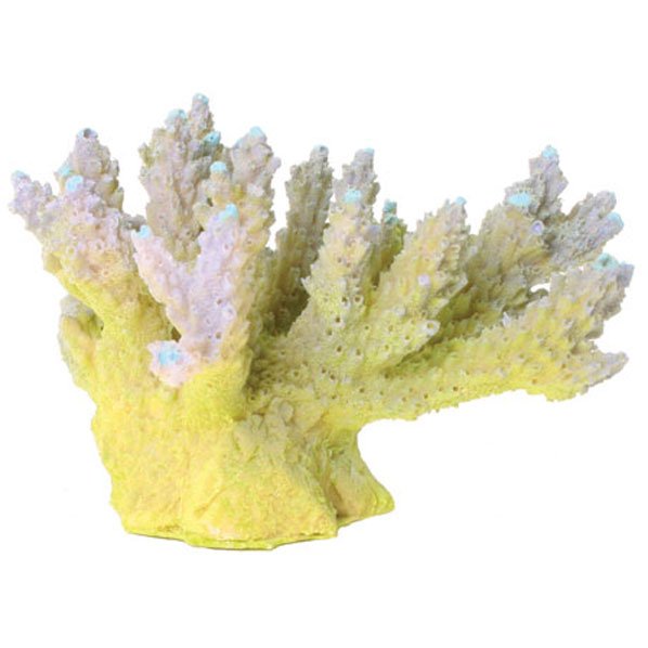 Design Elements Acropora Coral Aquarium Ornament Design Elements Acropora Coral Aquarium Ornament