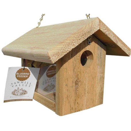 Outdoor Bluebird Feeder Outdoor Bluebird Feeder