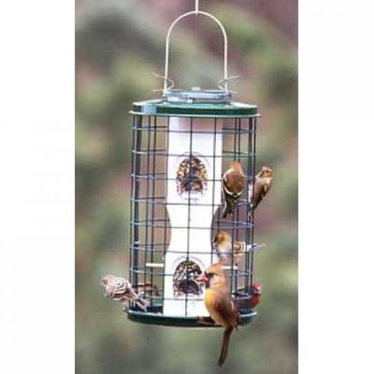 keep squirrel away from bird feeders