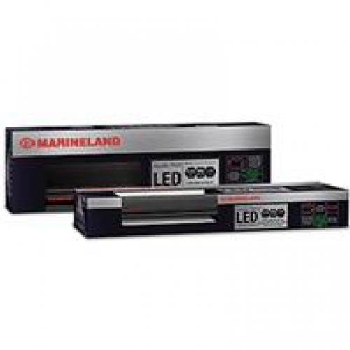 Aquatic Plant Led Lighting System Aquatic Plant Led Lighting System