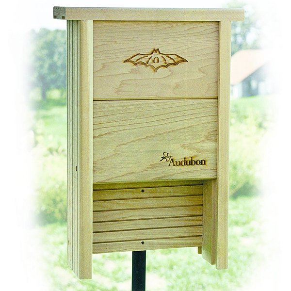 Cedar Bat Shelter Cedar Bat Shelter