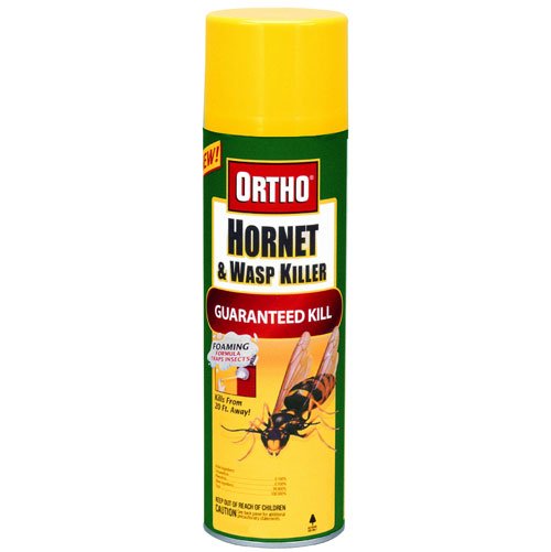 Best Natural Wasp Spray Best Natural Wasp Spray