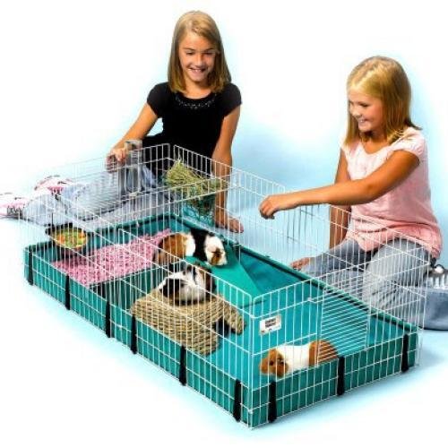 Guinea Habitat 47x24x14 In. / Style Plus Guinea Habitat 47x24x14 In. / Style Plus