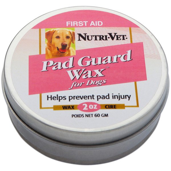 Wet Cracked Dog Paw Pads Wet Cracked Dog Paw Pads
