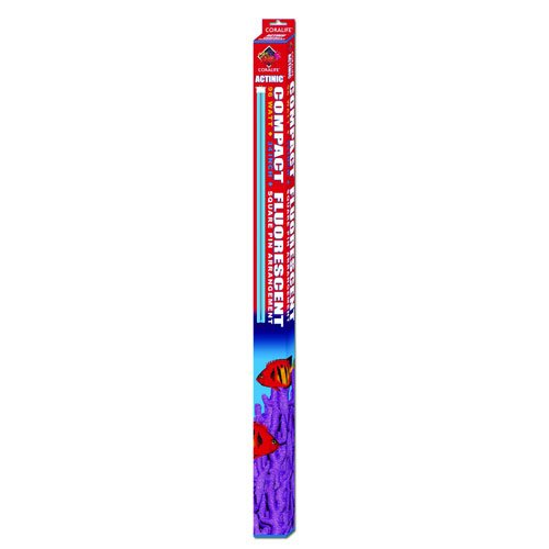 Actinic Compact Flourescent 96 Watt Actinic Compact Flourescent 96 Watt
