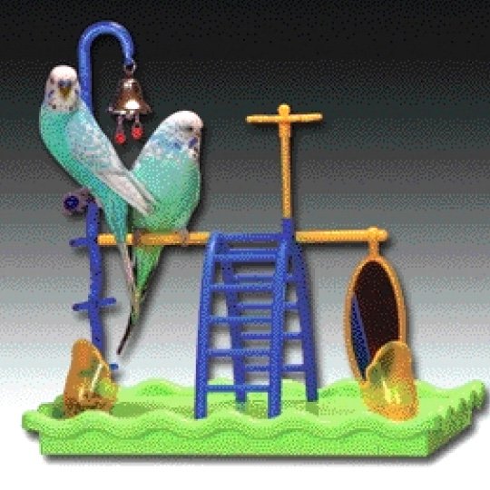 Insight Play Gym For Birds Insight Play Gym For Birds