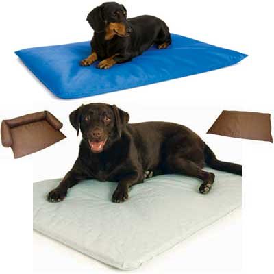  Beds Sale on Cool Bed Iii   Dog Water Bed Dog Products   Gregrobert Pet Supplies