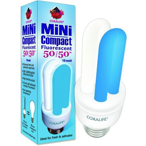 Mini Compact Flourescent Lamp 50/50 10 Watt Mini Compact Flourescent Lamp 50/50 10 Watt