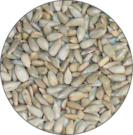 find lowest price on peanut hearts 50 lbs pet products find lowest price on peanut hearts 50 lbs pet products