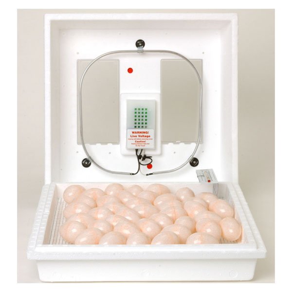 Still Air Egg Incubator with Electric Controls Best Price