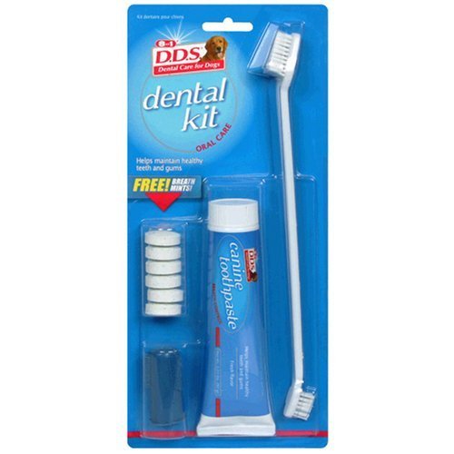 Dds Canine Dental Kit Dds Canine Dental Kit