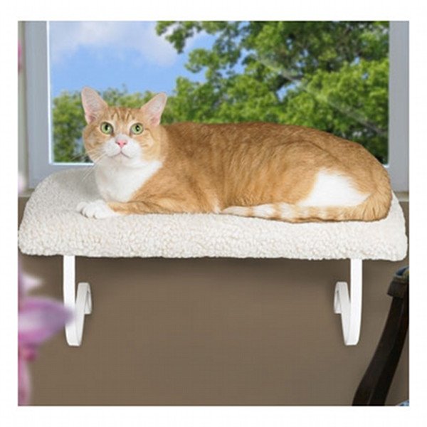 Cat Window Perch Cat Window Perch