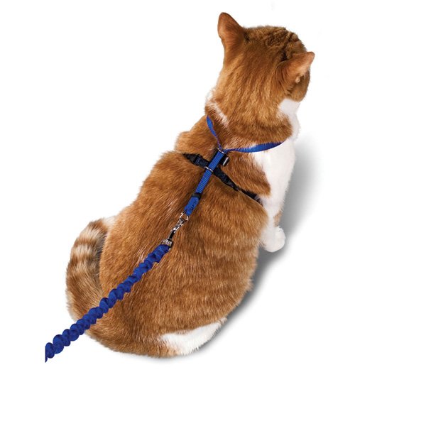 Come With Me Kitty Harness Bungee Leash / Size Large Blue Come With Me Kitty Harness Bungee Leash / Size Large Blue