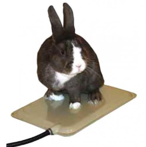 Small Animal Heated Pad Small Animal Heated Pad