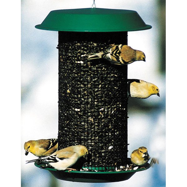 Magnum Sunflower Seed Bird Feeder