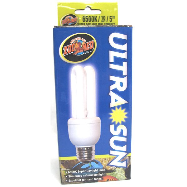 bulb   mini   10 watt best