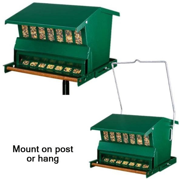 Absolute Bird Feeder Absolute Bird Feeder