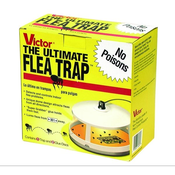 Ultimate Flea Trap Victor Ultimate Flea Trap Victor