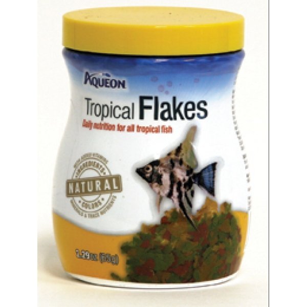 How we chose the best dog treats Don't miss this opportunity to shop cheap dog supplies at low clearance prices. Choose from clearance clothing and grooming tools to discount toys and treats.