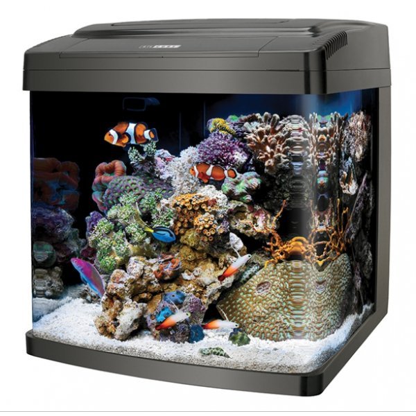 Coralife Biocube 14 Gallon Coralife Biocube 14 Gallon
