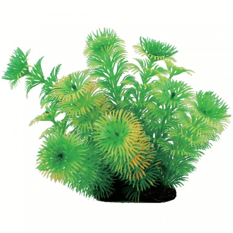 Tropical Elements Cabomba Green / 5 In. Tropical Elements Cabomba Green / 5 In.