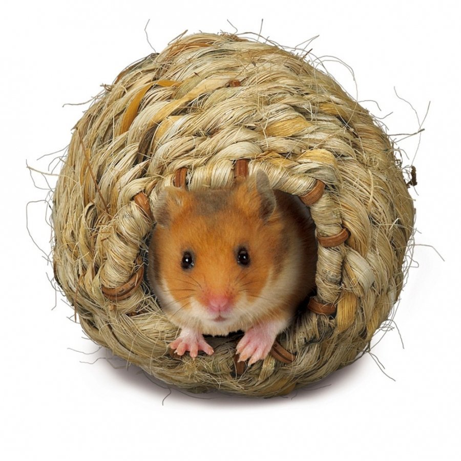 Roll A Nest Grassy Nest For Small Animals Roll A Nest Grassy Nest For Small Animals