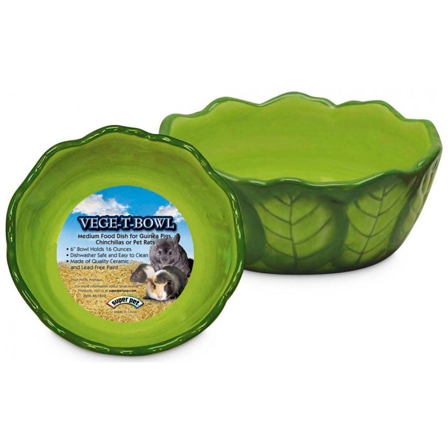 Vege T Bowl Green Cabbage For Small Pets Vege T Bowl Green Cabbage For Small Pets