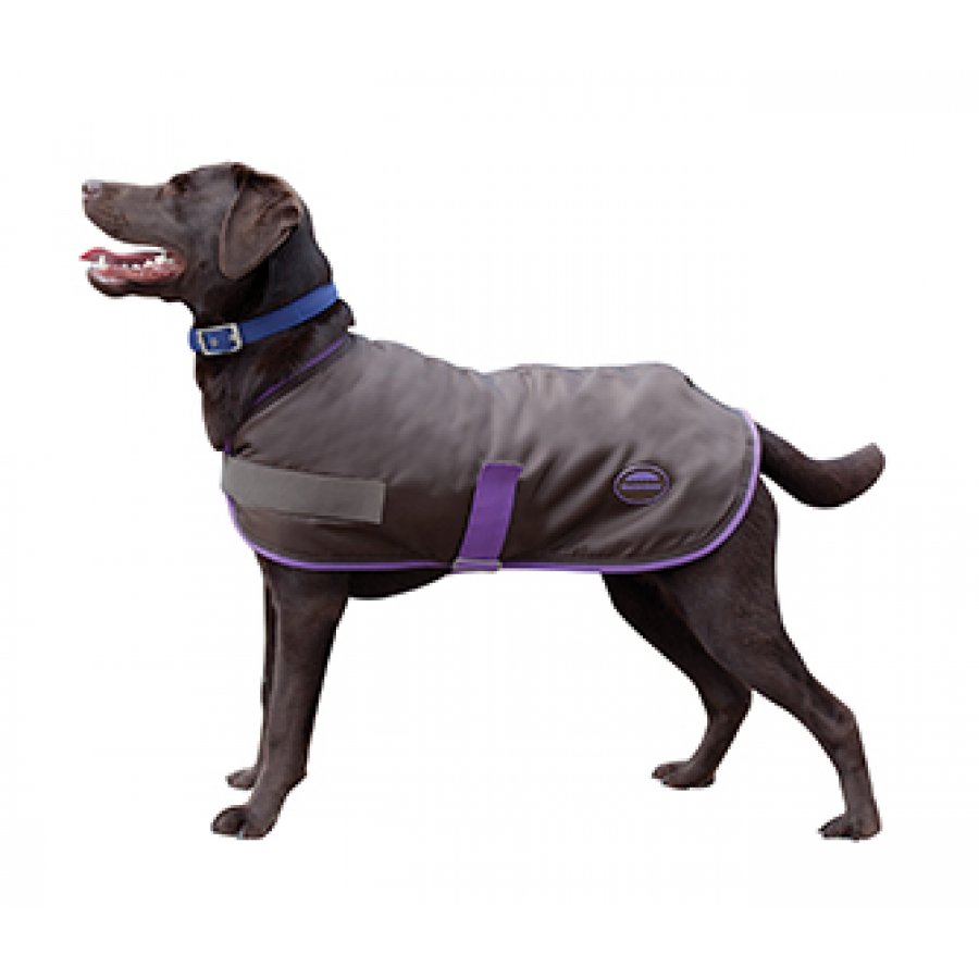 Windbreaker Bellywrap Fleece 420d Dog Coat / Size (16 In.) Centinte
