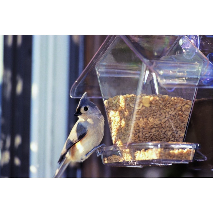 Aspects Window Cafe Bird Feeder 3/4 Qt. Aspects Window Cafe Bird Feeder 3/4 Qt.