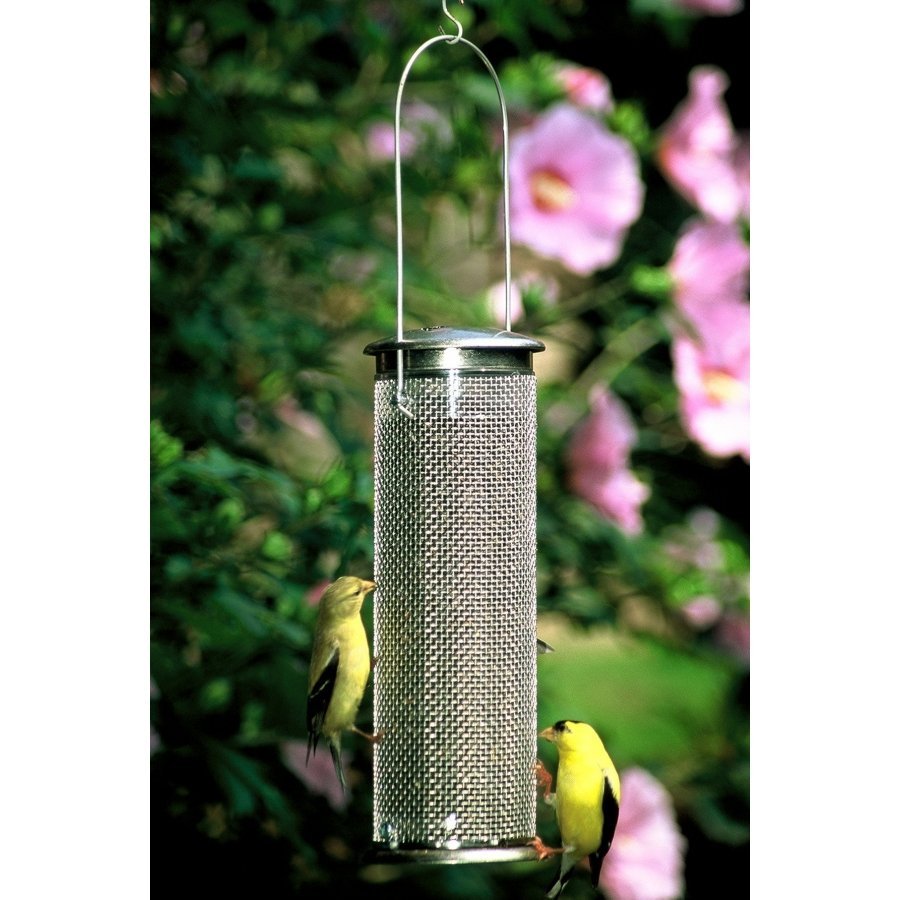 nyjer mesh finch feeder wild bird supplies gregrobert nyjer mesh finch feeder wild bird supplies gregrobert