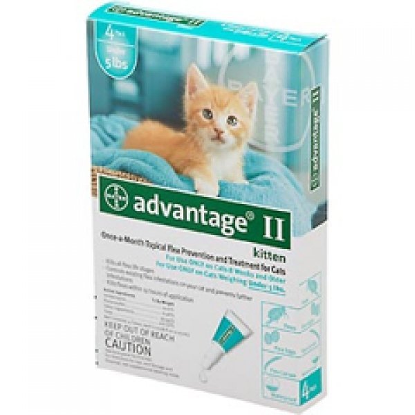 Advantage Ii Kitten 4 Pack Advantage Ii Kitten 4 Pack