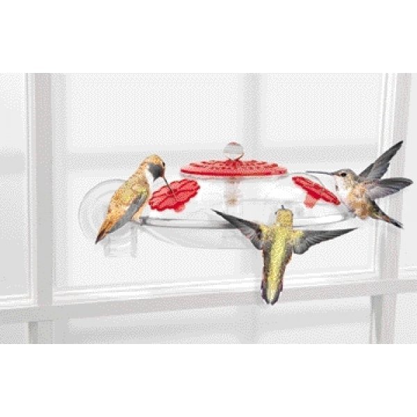 Hummingbird Window Feeder By Droll Yankees Hummingbird Window Feeder By Droll Yankees