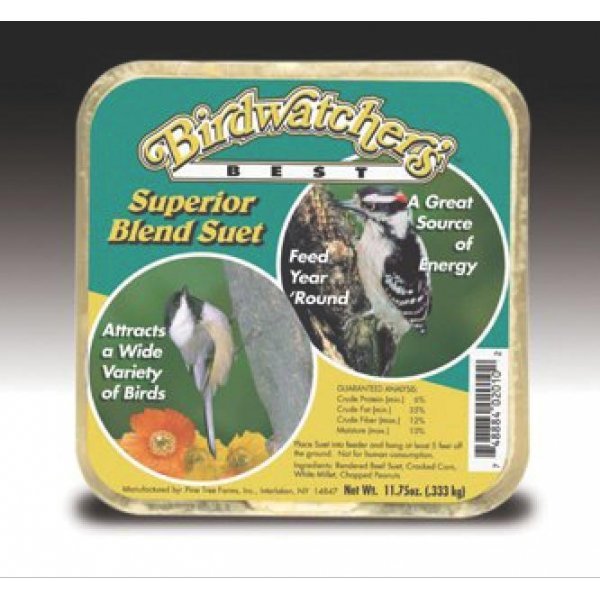 buy bulk superior blend wild bird suet case of 12 wild buy bulk superior blend wild bird suet case of 12 wild