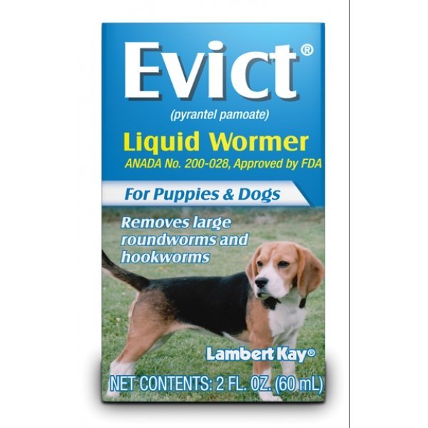 liquid wormer for puppies evict liquid wormer for puppies dogs 2 oz pet supplies comparison shopping liquid wormer for puppies evict liquid wormer for puppies dogs 2 oz pet supplies comparison shopping