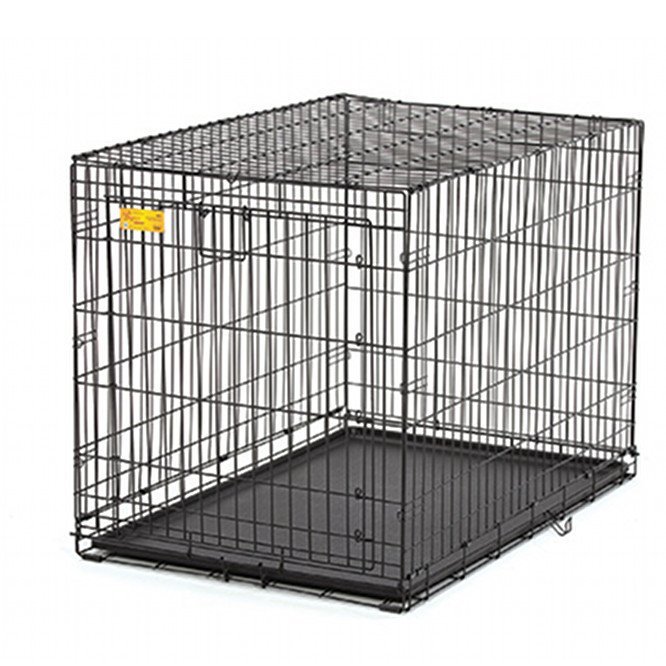 ACE Single Door Dog Crate Dog Products GregRobert