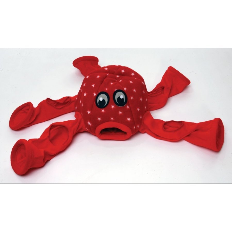 Ferret Octo Play Home Ferret Octo Play Home