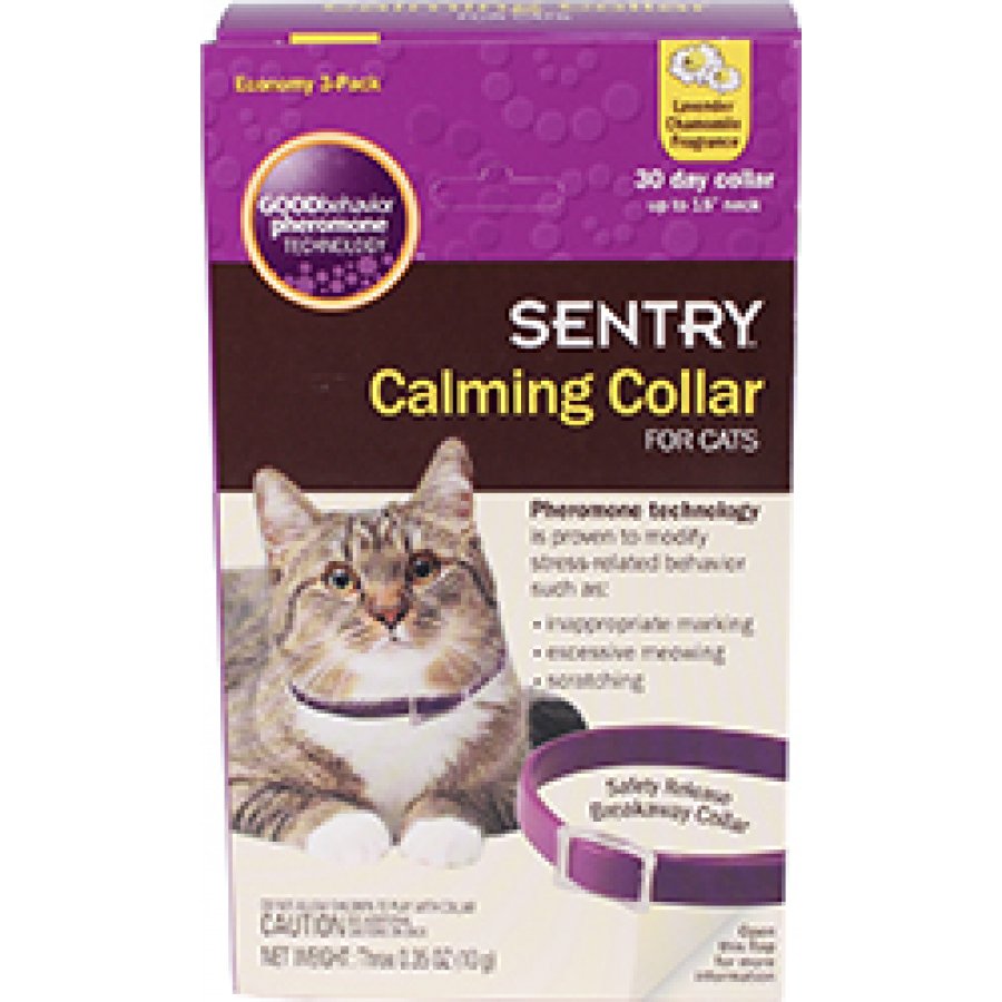 Best Calming Collar For Cats Best Calming Collar For Cats